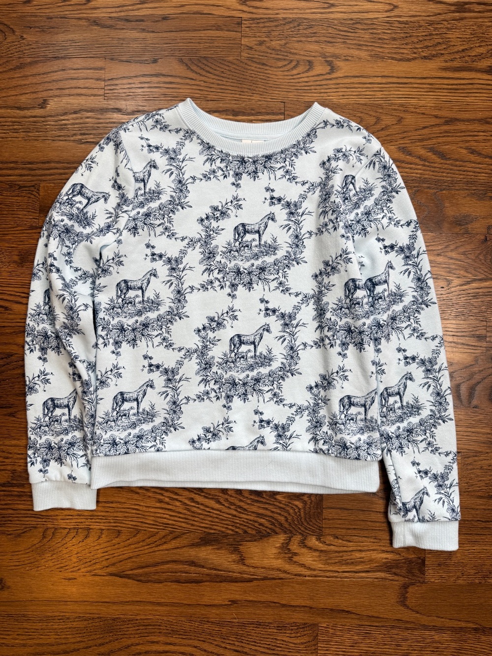 JANIE AND JACK Girls Blue Ribbon Horse Toile Print French Terry Sweatshirt Sz 10